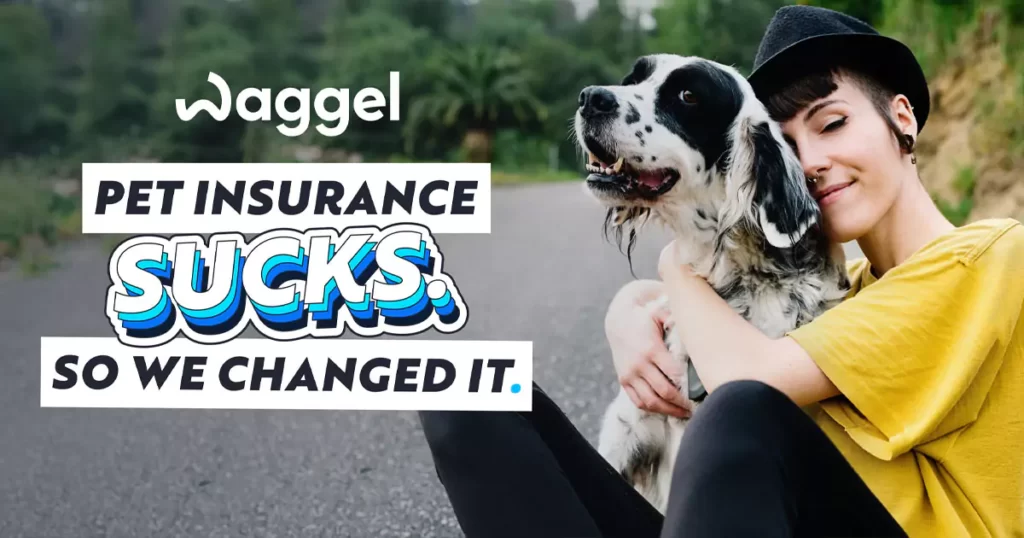 Top 10 Best Pet Insurance - Waggel