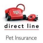 Top 10 Pet Insurance In UK