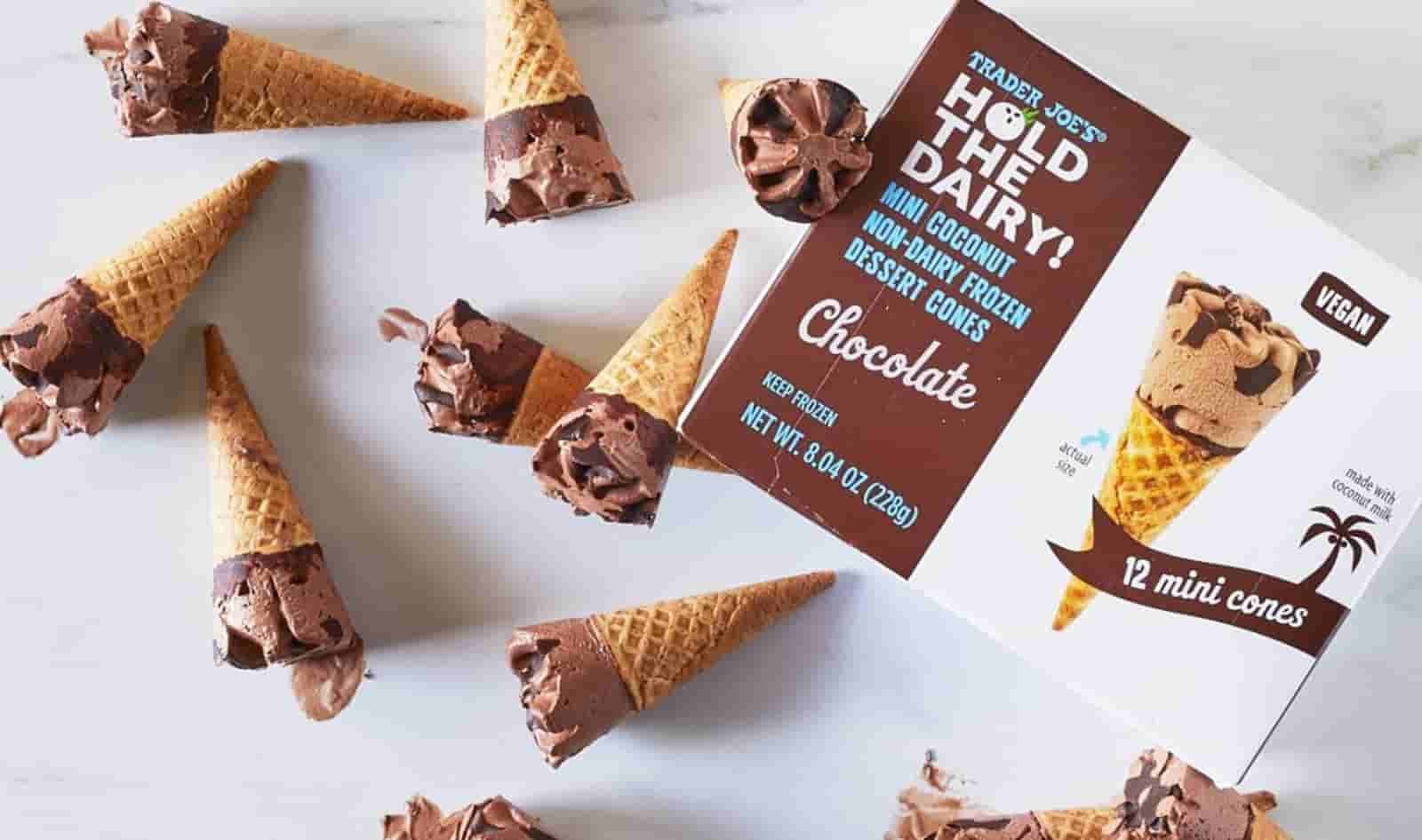 Chocolate Chip Hold the Cone