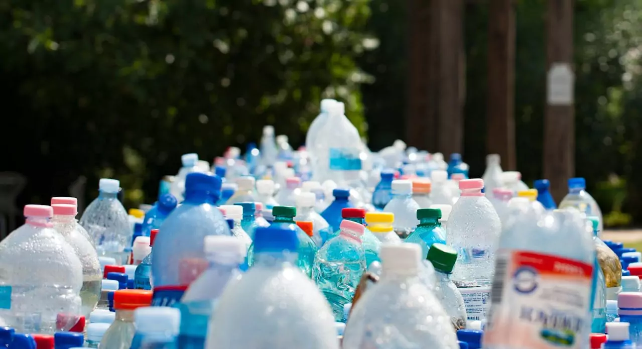 Waste Management Companies in Sweden