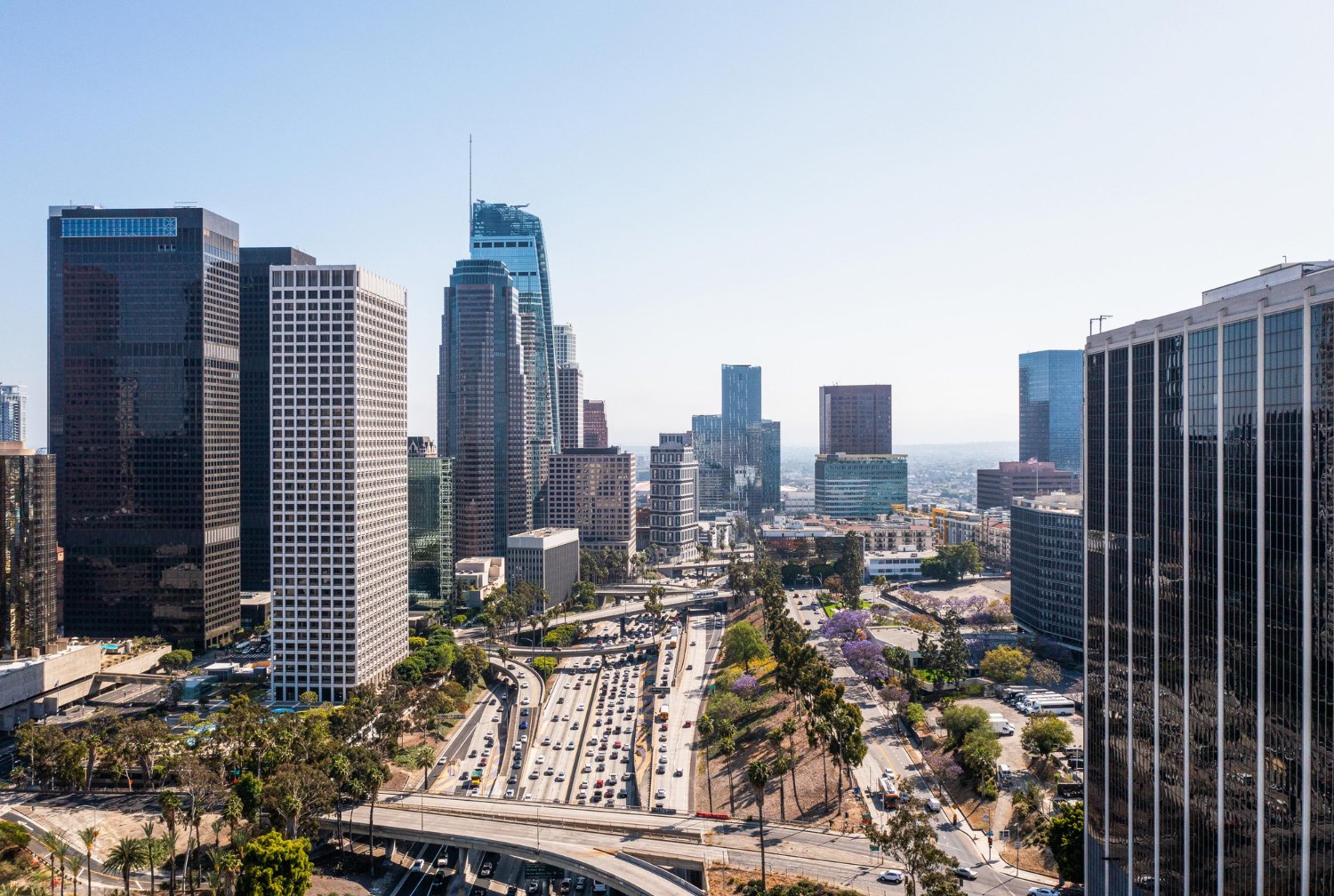 Top 5 Waste Management and Recycling Companies in Mexico City