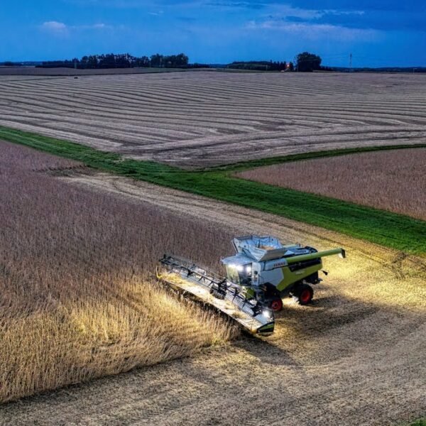 Soybean Dominance Exporters and Suppliers in Brazil