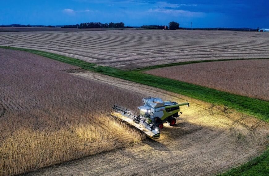 Soybean Dominance Exporters and Suppliers in Brazil
