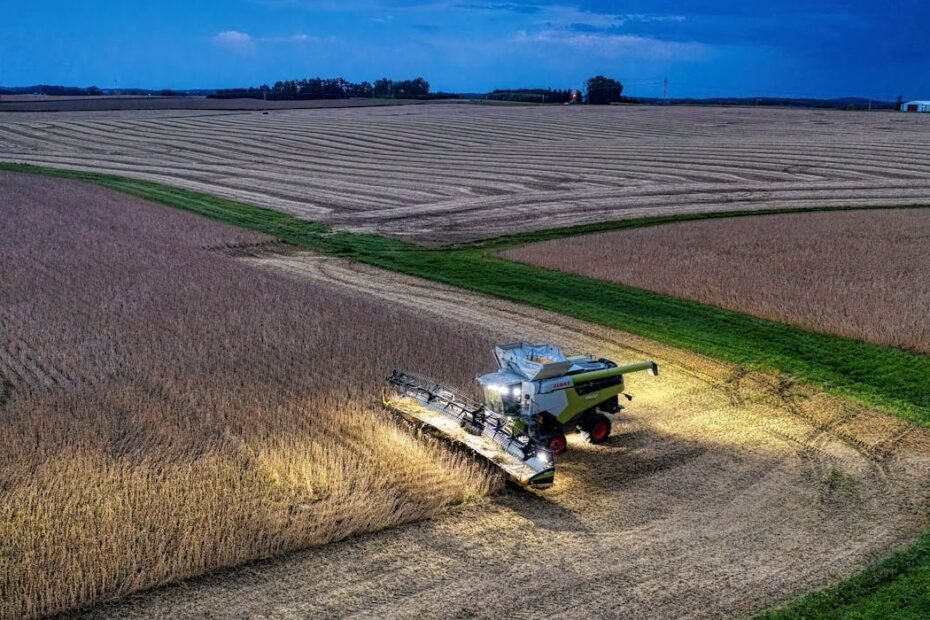 Soybean Dominance Exporters and Suppliers in Brazil