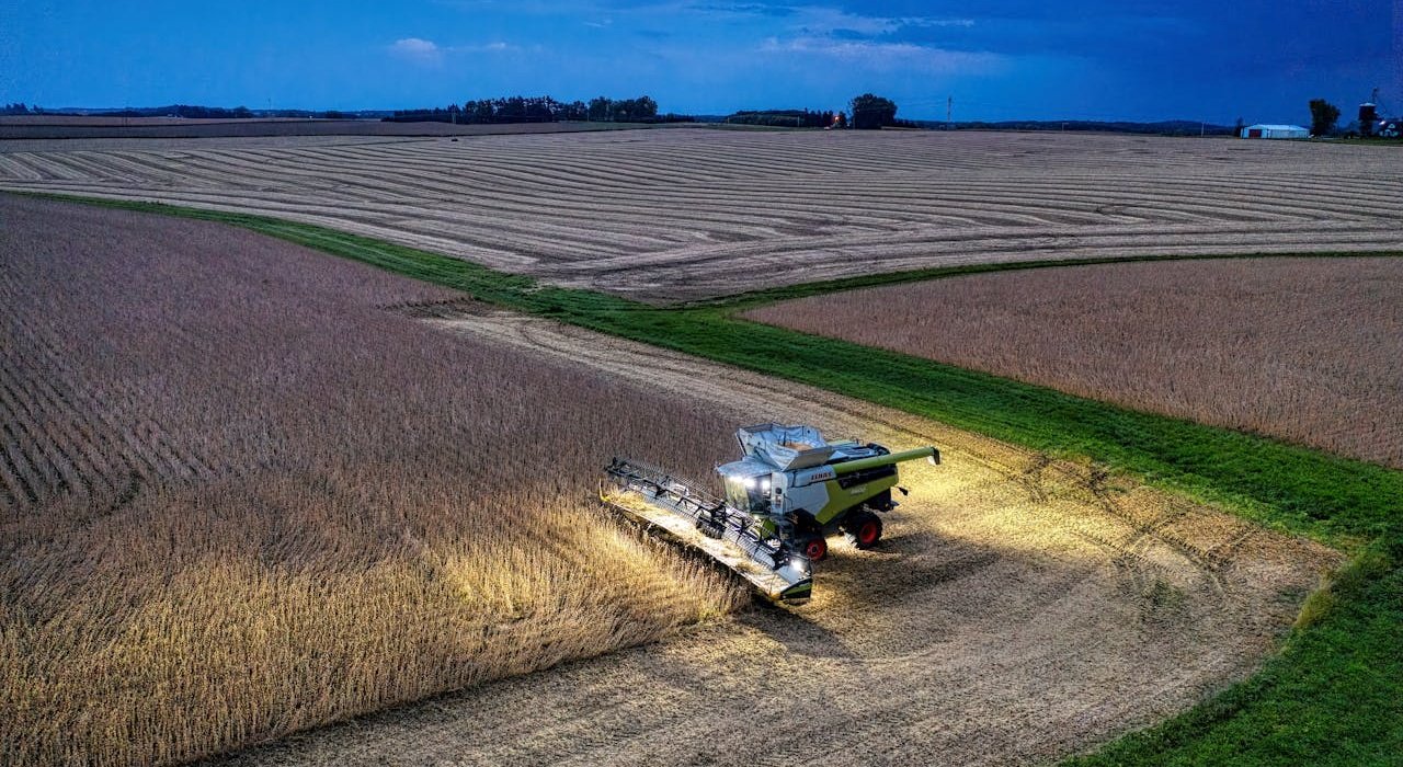 Soybean Dominance Exporters and Suppliers in Brazil