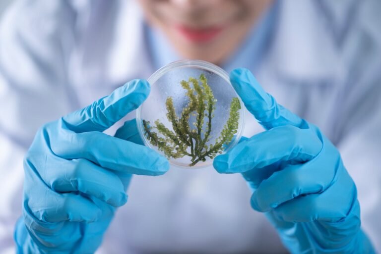 Biotechnology and MedTech Companies in Singapore