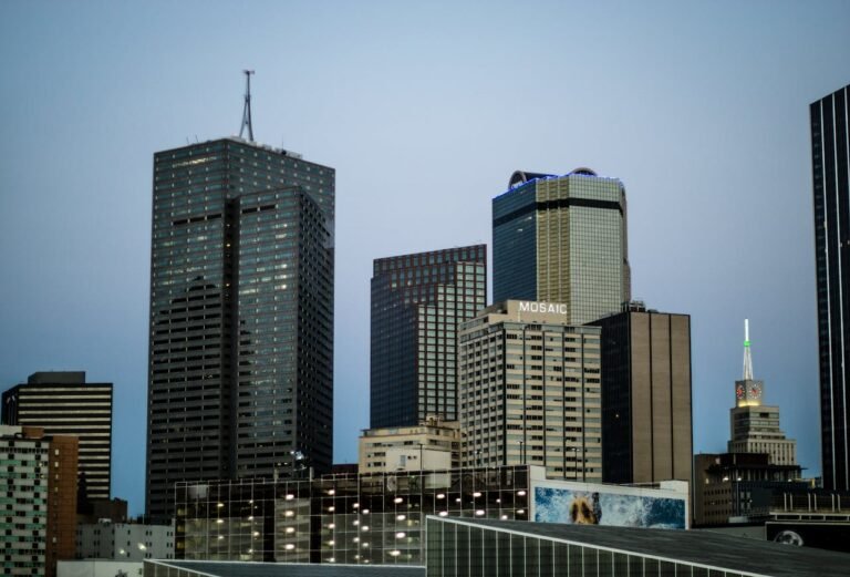 Top 5 Local Cleaning Service Providers In Dallas