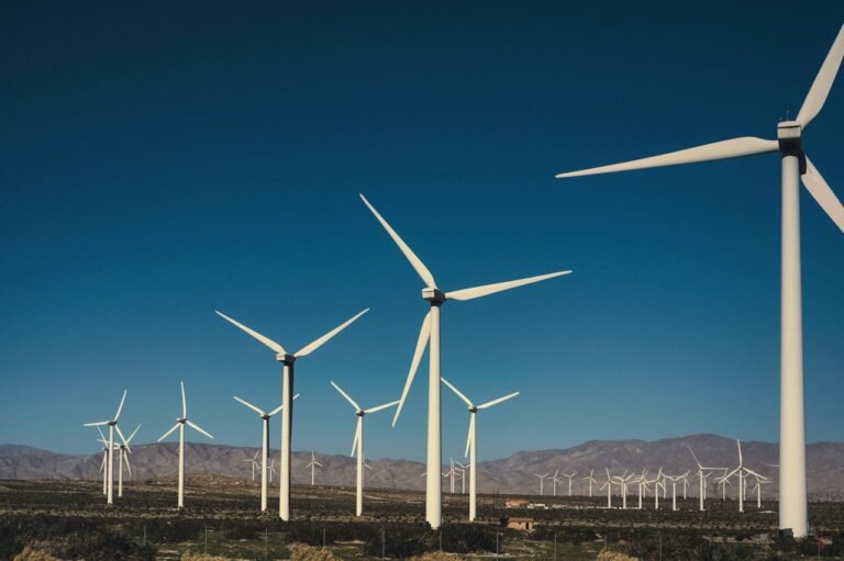 Green Technology Firms in Singapore