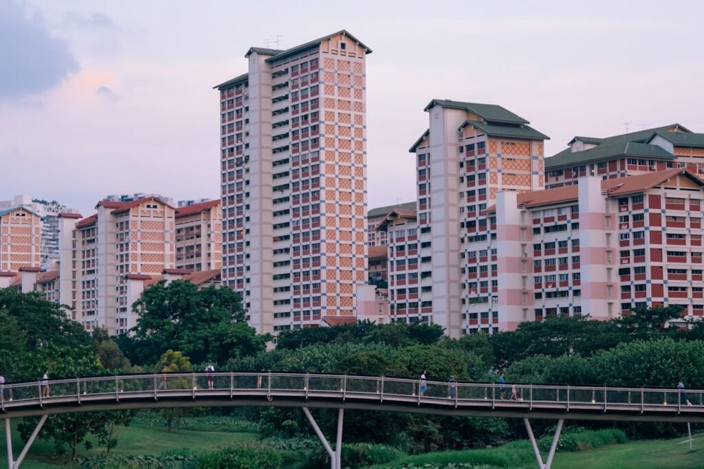 Your Guide to Home, HR, Insurance, Design and Sustainability Services in Singapore