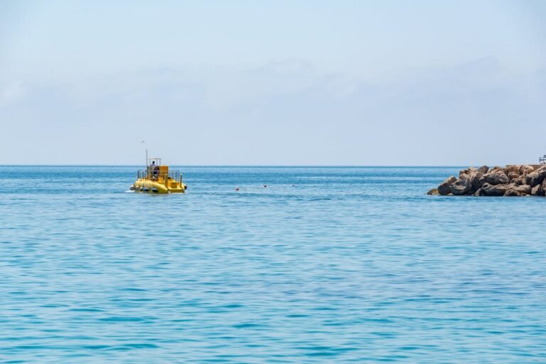 Top 5 Boat and Submarine Companies in Brazil
