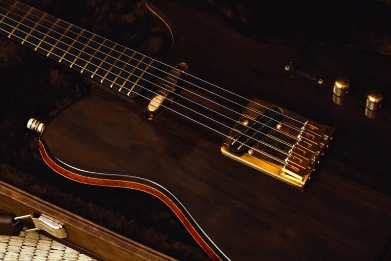 Top 5 Guitar Manufacturing Companies in Brazil