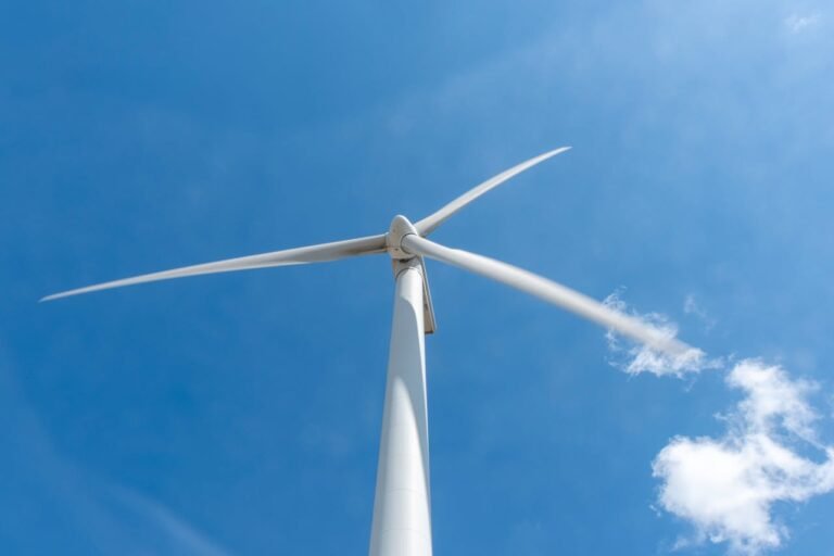 Ceará-Based Renewable Energy Companies in Brazil