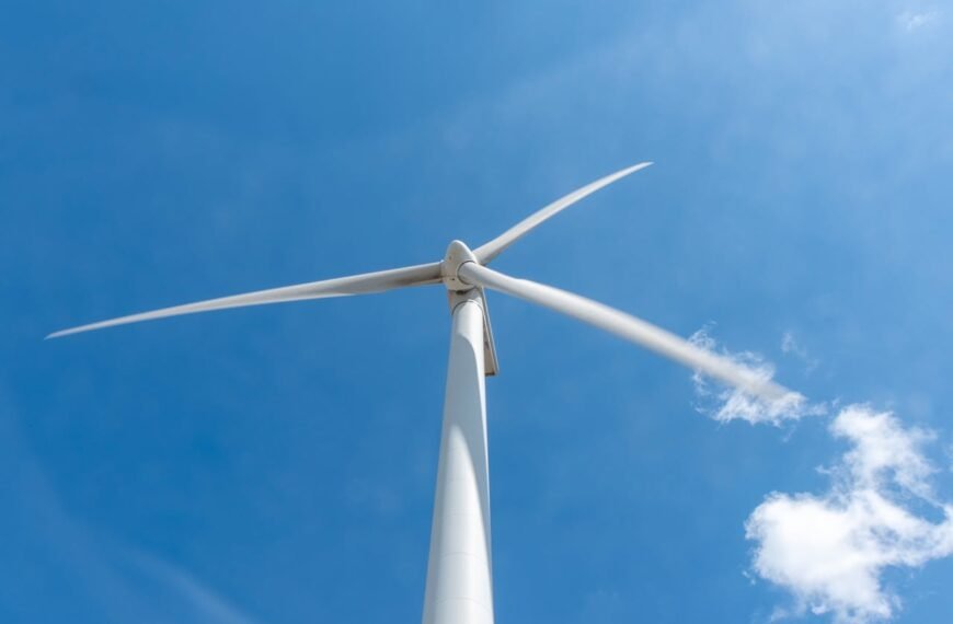 Ceará-Based Renewable Energy Companies in Brazil