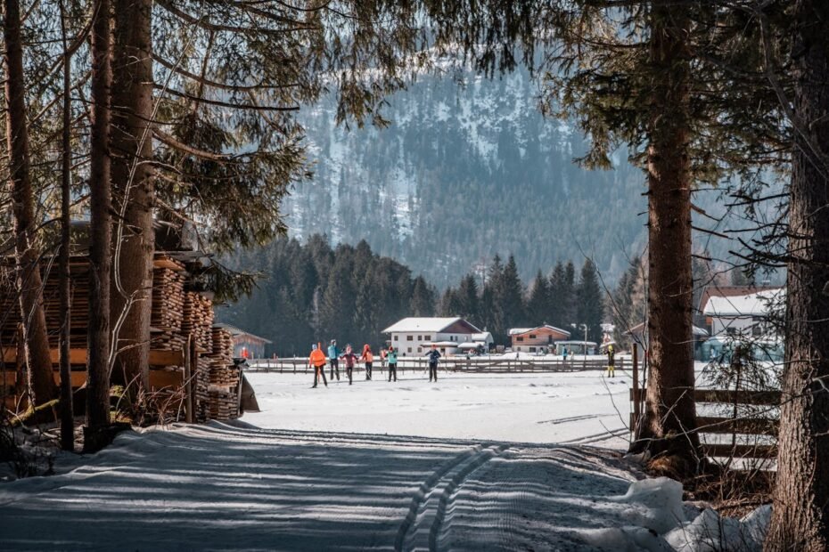Cross-Country Skiing Trails