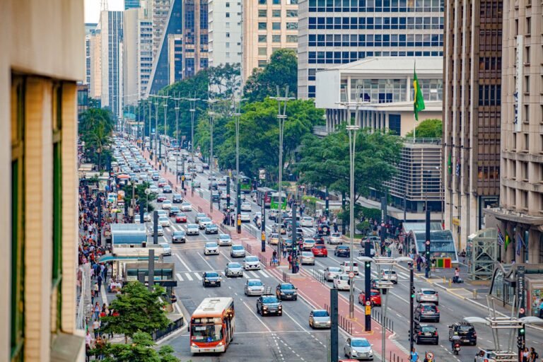 Sustainability and ESG Public Policy Consultants in Distrito Federal