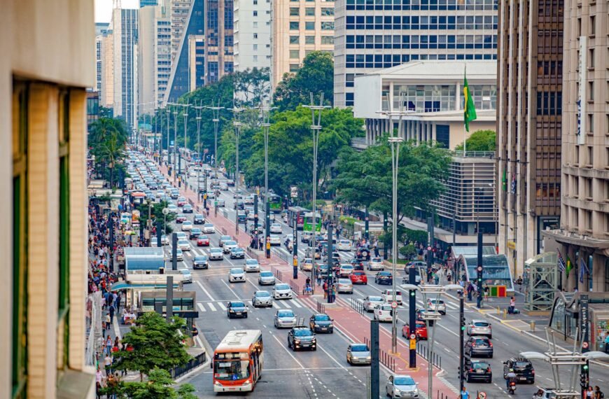 Sustainability and ESG Public Policy Consultants in Distrito Federal