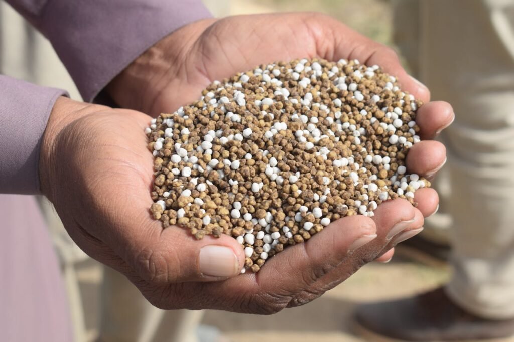 Top 5 Phosphate Supplier Companies in Brazil