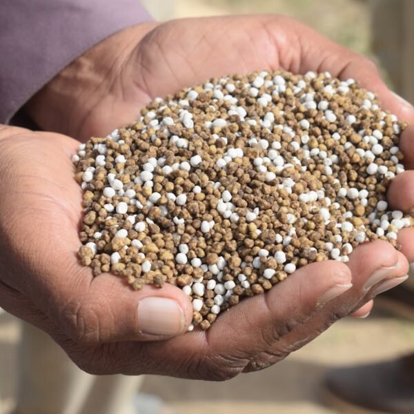 Phosphate Supplier Companies in Brazil
