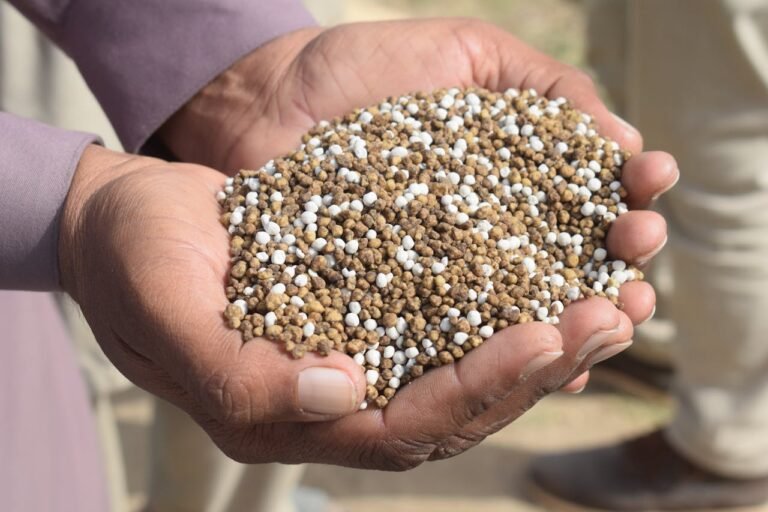 Phosphate Supplier Companies in Brazil