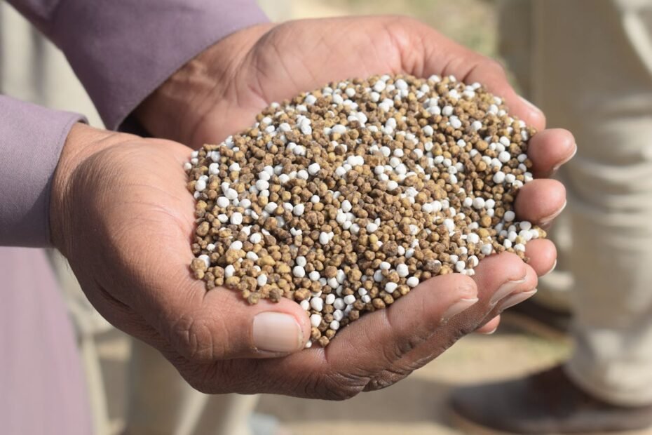 Phosphate Supplier Companies in Brazil