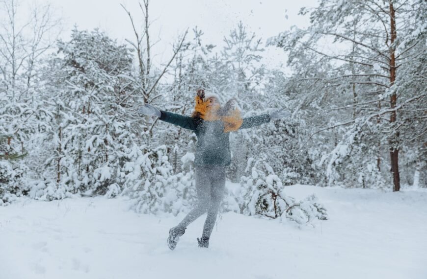Winter Activities