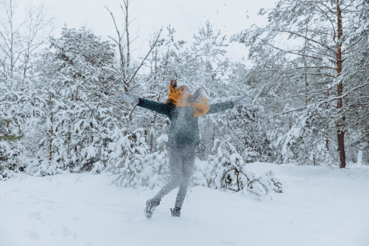 Winter Activities