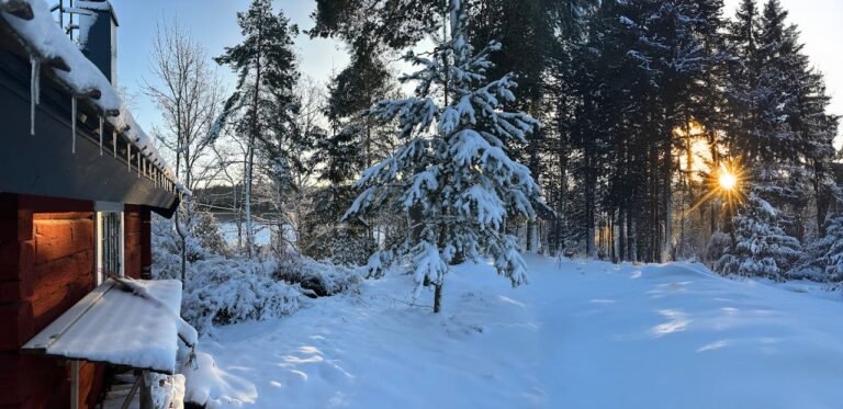 Top 5 Swedish Ice Hotels and Unique Winter Lodges