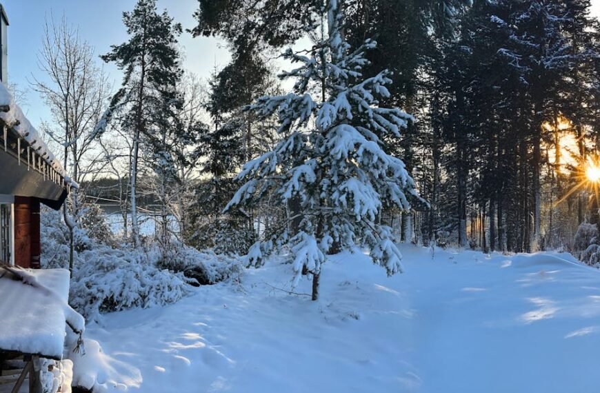 Swedish Ice Hotels and Unique Winter Lodges