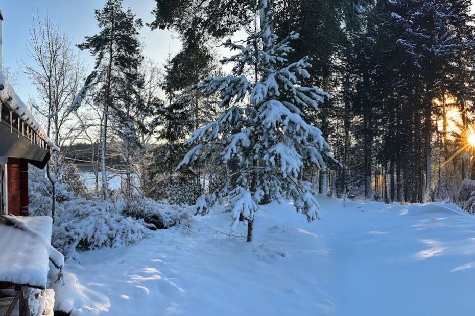 Swedish Ice Hotels and Unique Winter Lodges