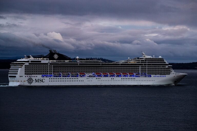 Top 5 Cruise & Maritime Tourism Companies in Mexico